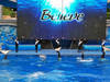 Believe - Shamu Show: SeaWorld Orlando