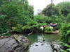 Visión general: Central Park Zoo